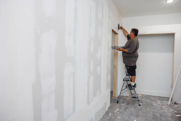 Best Mold Odor Removal Services  in Boston, GA