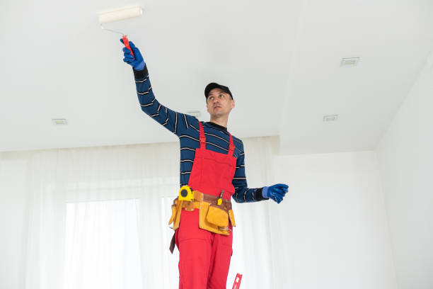 Best Basement Mold Removal  in Boston, GA
