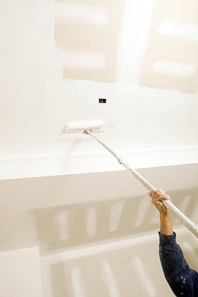 Trusted Boston, GA Mold Removal Experts